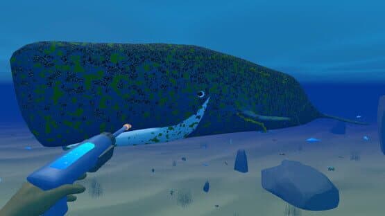 Bodian's Bay Wash screenshot 1