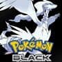 Pokémon Black Version cover