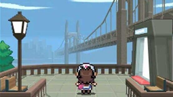 Pokémon Black Version screenshot 3